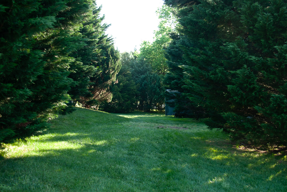 RZ0_3123.jpg