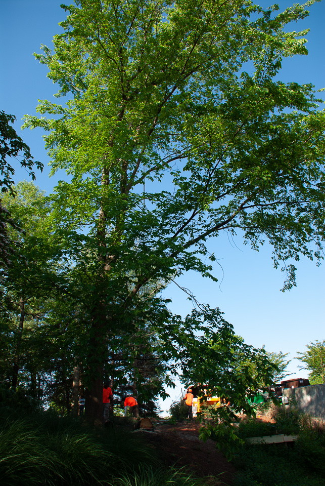 RZ0_3191.jpg