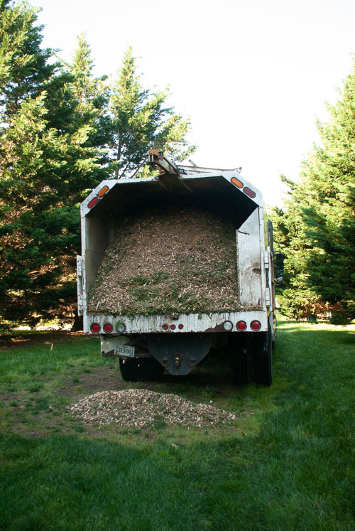 2021 05 Storage Shed