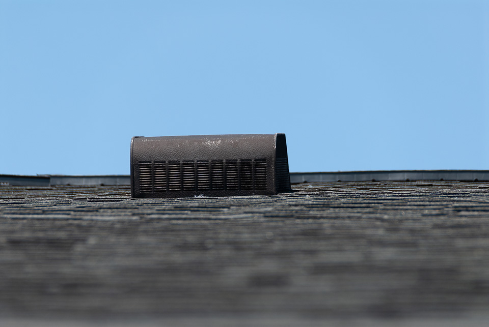 RZ0_0345.jpg