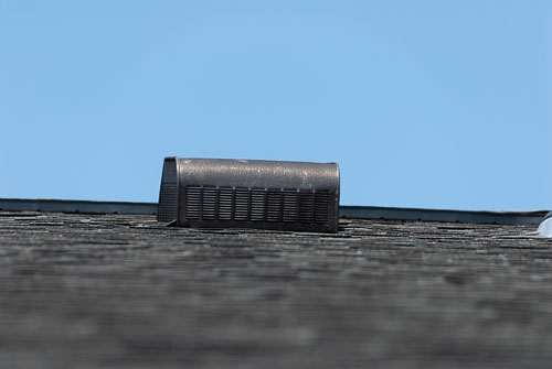 RZ0_0343.jpg