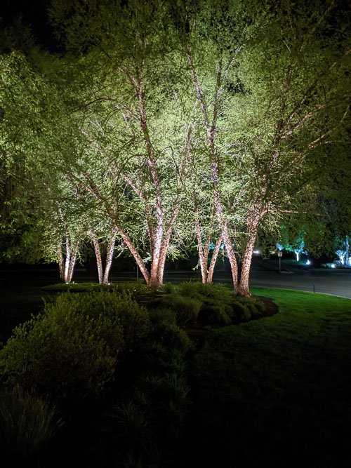 2020-04-21 Night Photos