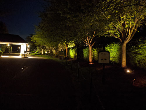 2020-05-7 Night Photos